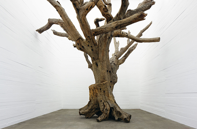 Ai Weiwei - Tree, 2009-2010